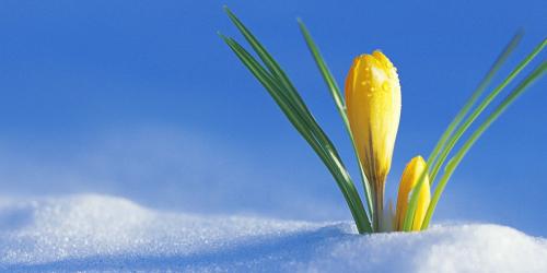 С праздником весны и труда!