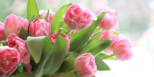 С 8 Марта 2020!